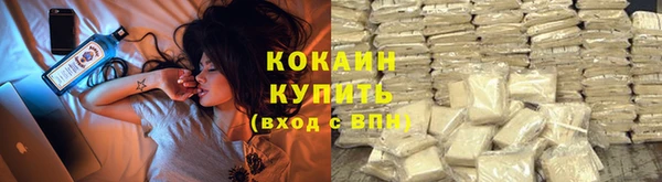 прущие крисы Горняк