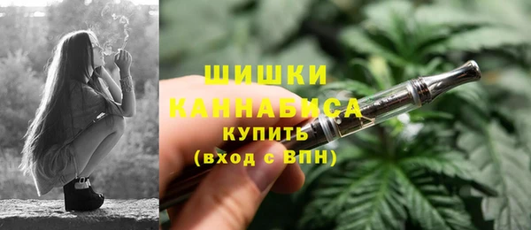 спайс Инсар