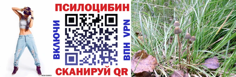 Псилоцибиновые грибы мухоморы Кодинск