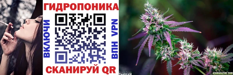 Канабис Amnesia  Купить закладки  Кодинск 